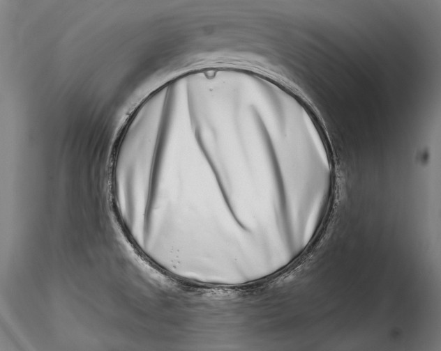 X0000115521525200911271311