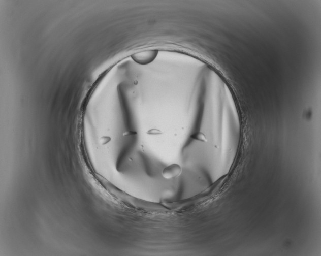 X0000115521526200911271311