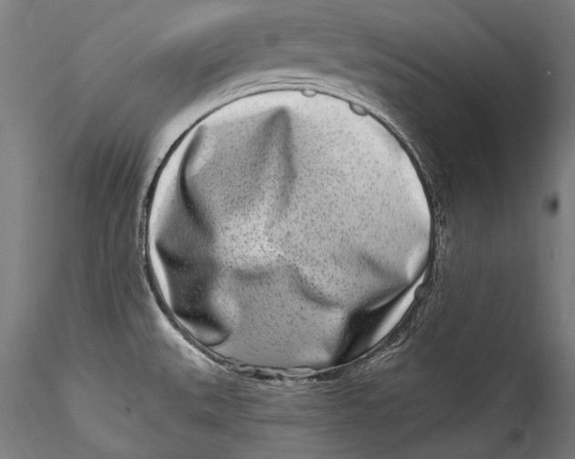 X0000115521527200911271311