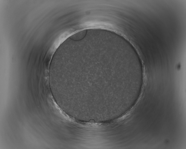 X0000115521529200911271311