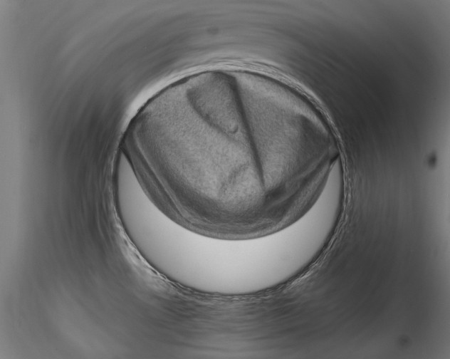 X0000115521530200911271311