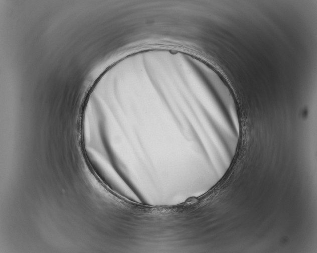 X0000115521531200911271311