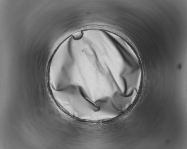 X0000115521533200911271311