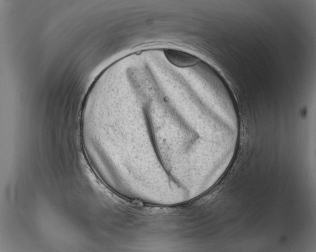 X0000115521534200911271311