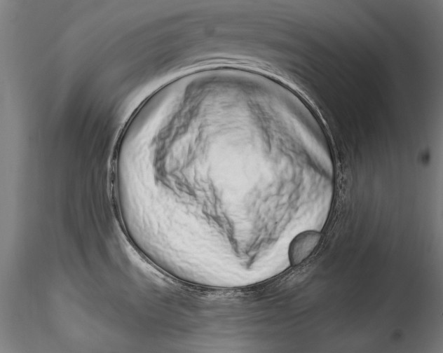 X0000115521535200911271311