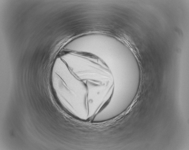 X0000115520001200912040938