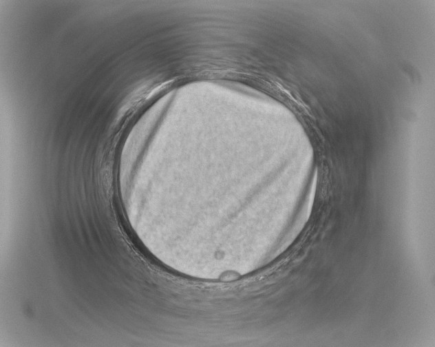 X0000115520002200912040938