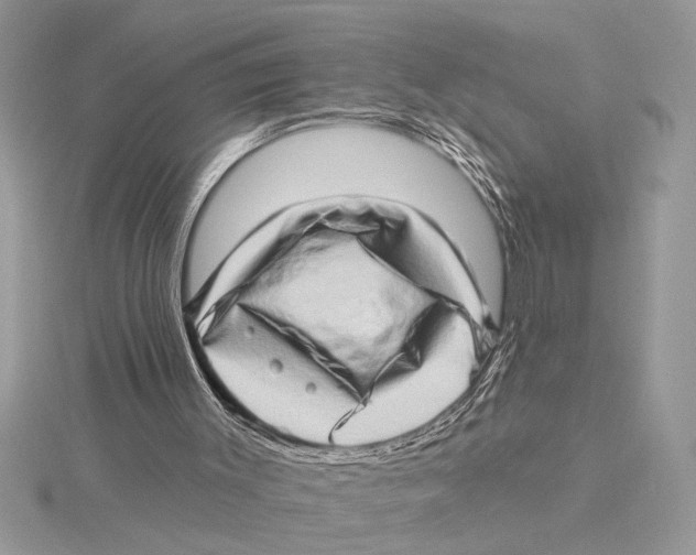 X0000115520003200912040938