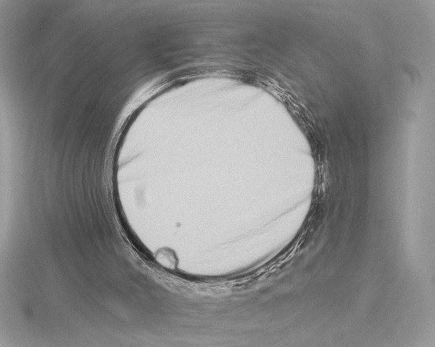 X0000115520004200912040938