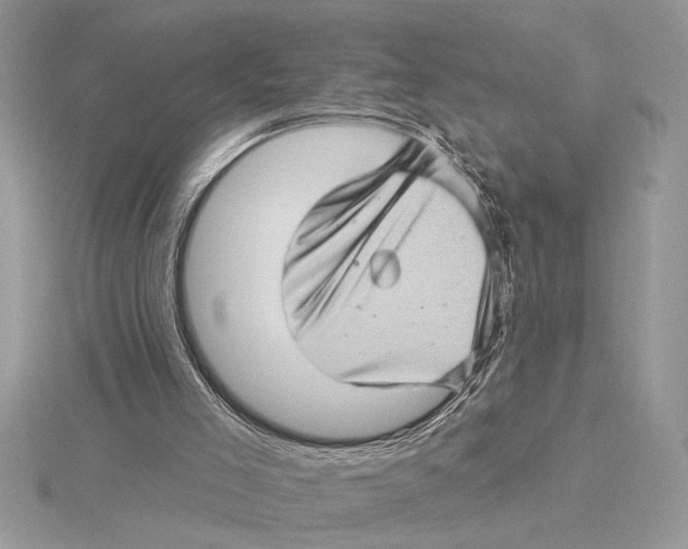 X0000115520005200912040938