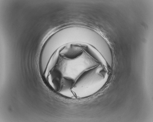 X0000115520007200912040938