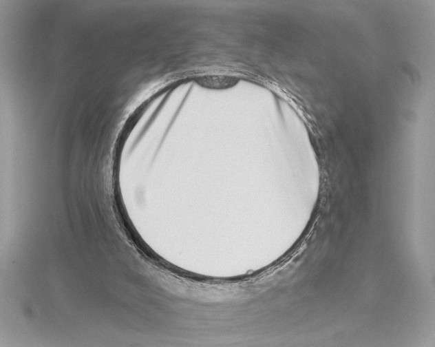 X0000115520008200912040938