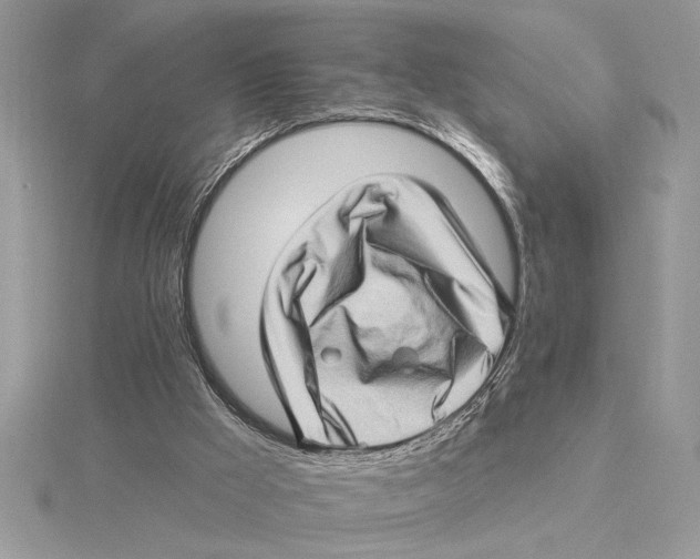 X0000115520009200912040938