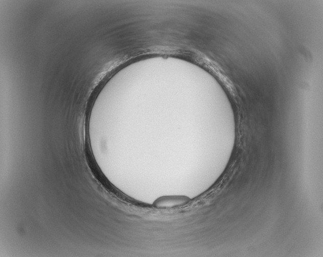 X0000115520011200912040938