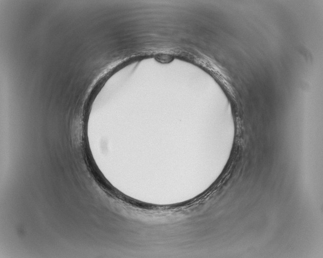 X0000115520012200912040938