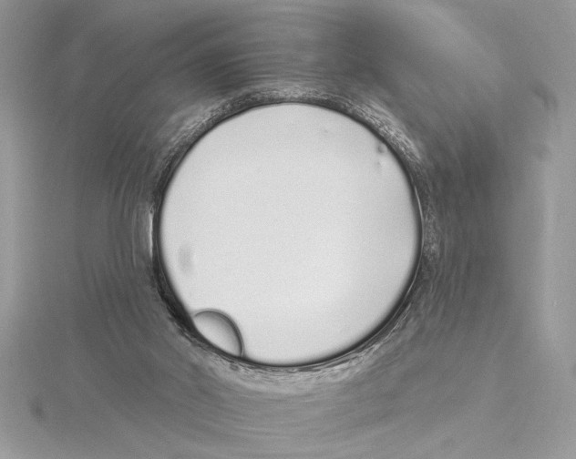 X0000115520014200912040938