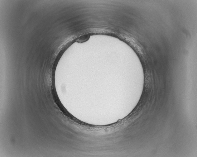 X0000115520015200912040938