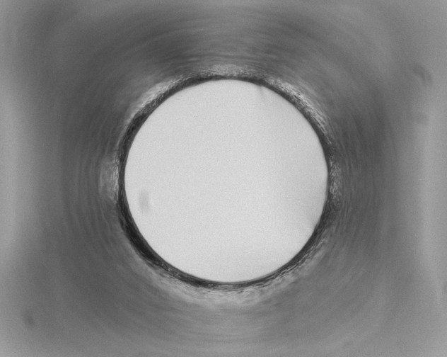 X0000115520016200912040938