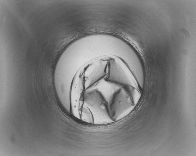 X0000115520017200912040938