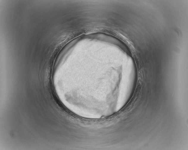 X0000115520018200912040938