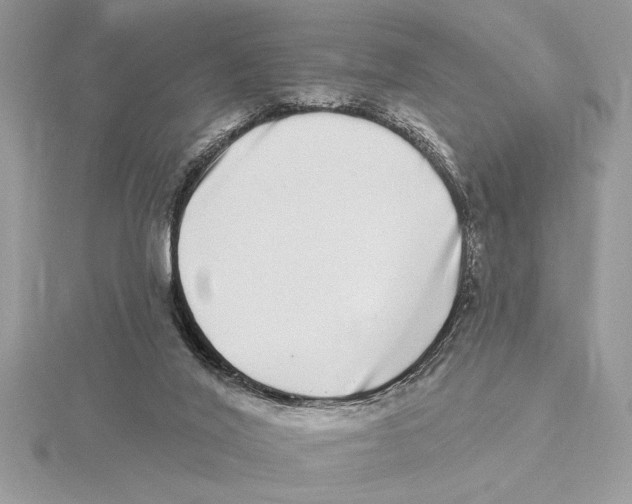 X0000115520020200912040938