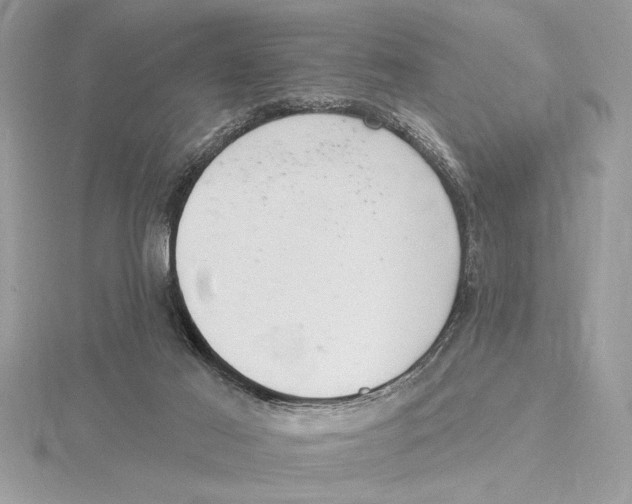 X0000115520021200912040938