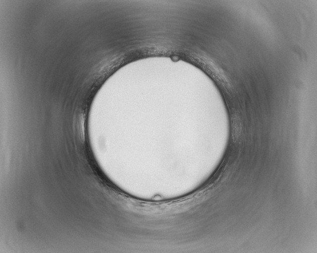 X0000115520022200912040938