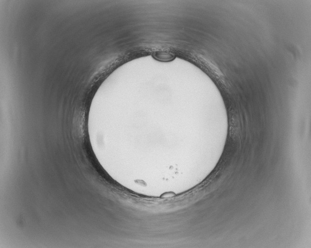 X0000115520023200912040938