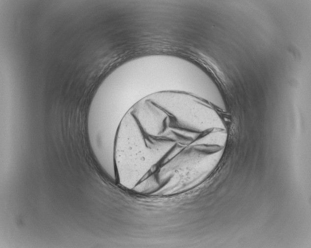 X0000115520025200912040938