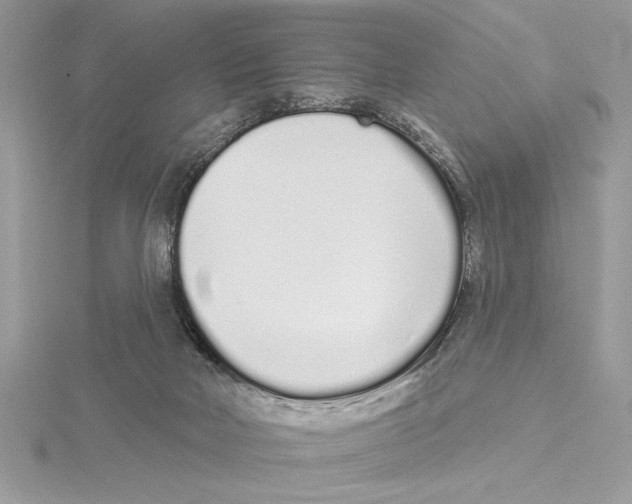 X0000115520026200912040938