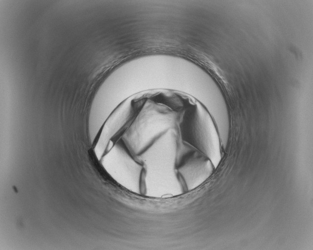 X0000115520027200912040938