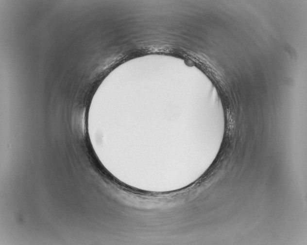 X0000115520028200912040938