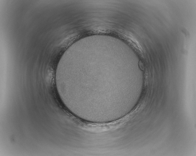 X0000115520029200912040938