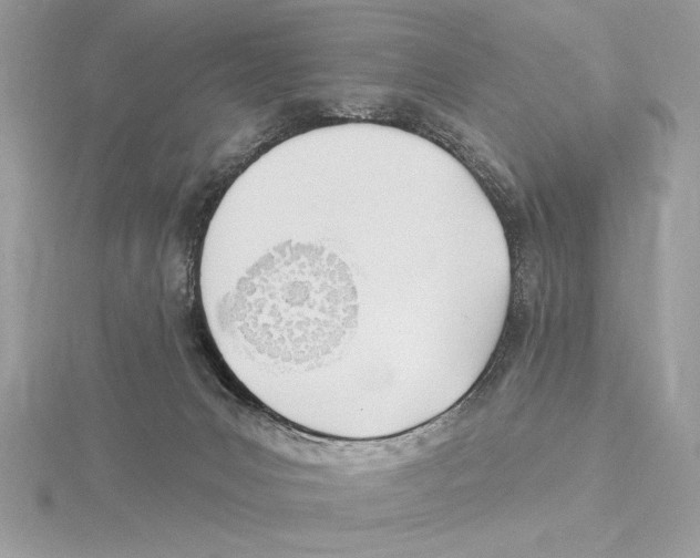 X0000115520031200912040938