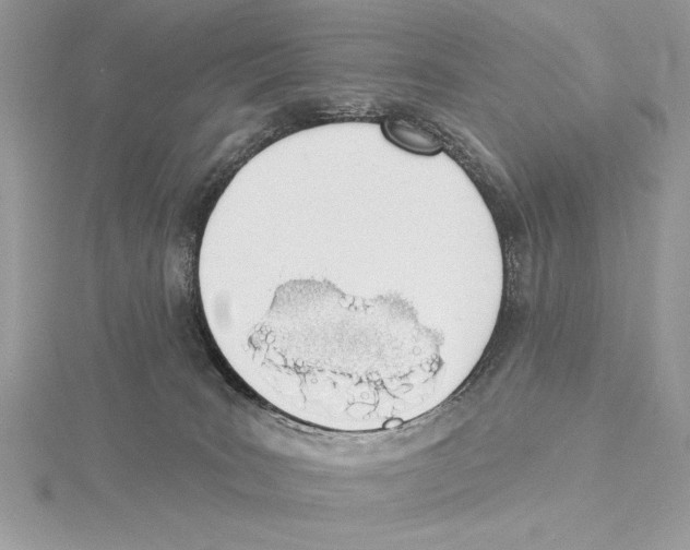 X0000115520035200912040938