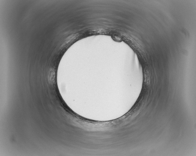 X0000115520036200912040938