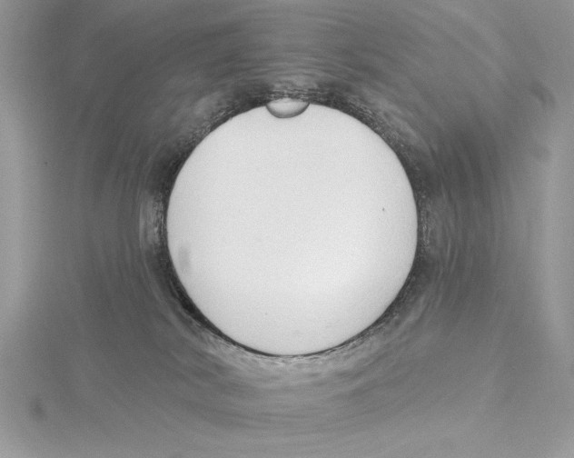 X0000115520038200912040938