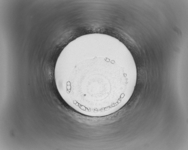 X0000115520039200912040938