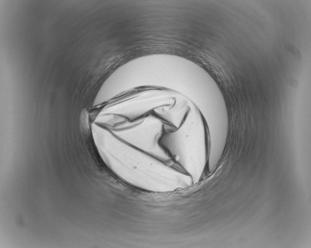 X0000115520041200912040938