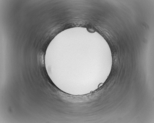 X0000115520042200912040938