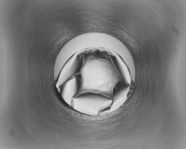 X0000115520043200912040938