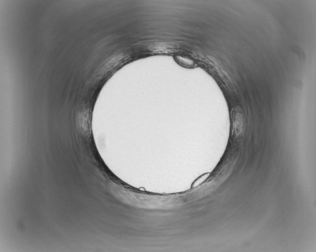 X0000115520044200912040938