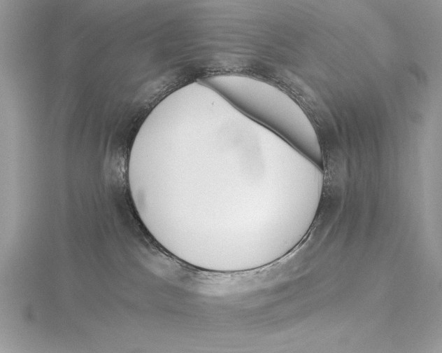 X0000115520045200912040938