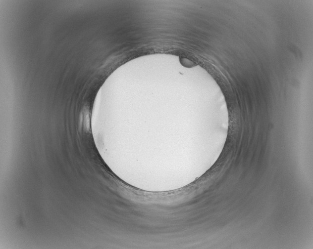 X0000115520046200912040938