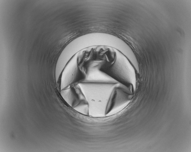 X0000115520047200912040938