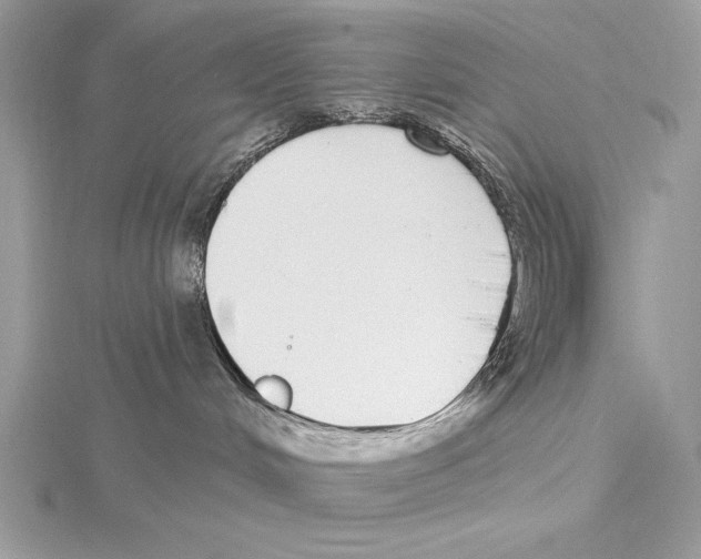 X0000115520048200912040937