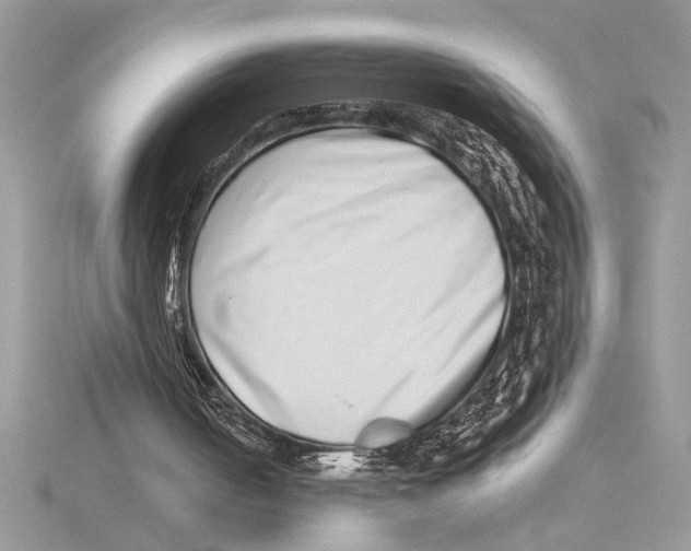 X0000115520050200912040937