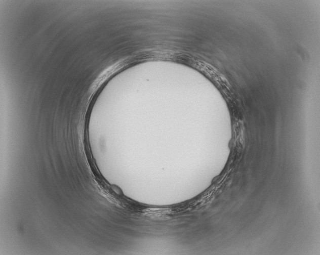 X0000115520051200912040937