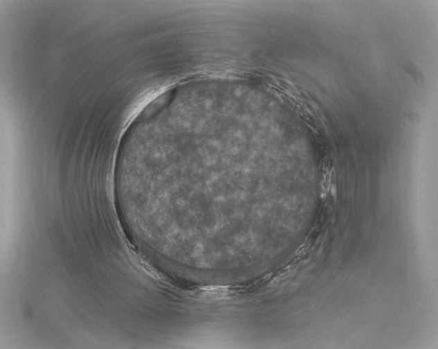 X0000115520052200912040937