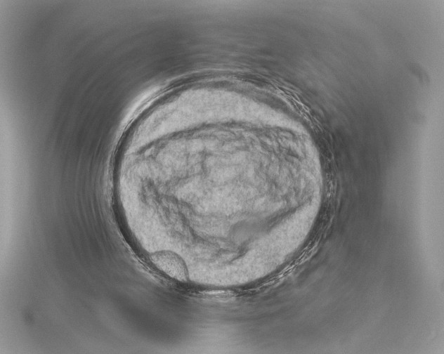 X0000115520053200912040937